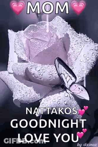 Purple Rose With Water Drops And Butterfly GIF