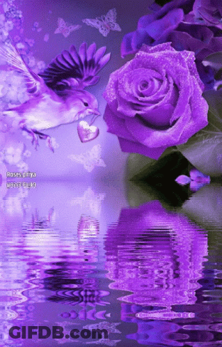 Purple Roses And A Bird With A Heart In Its Beak GIF