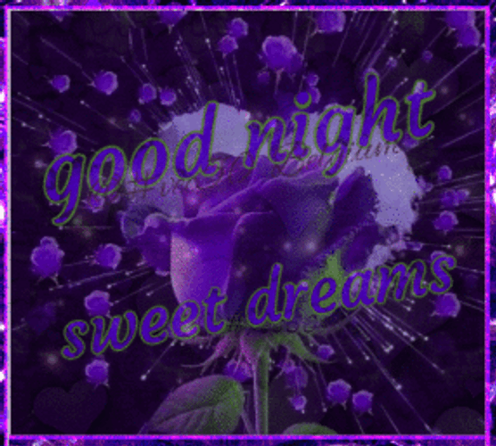 Purple Roses Goodnight Sweet Dreams GIF
