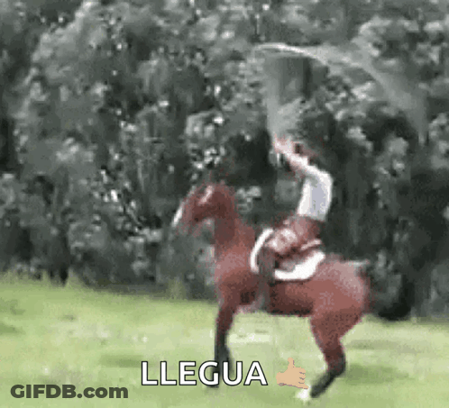 Purple Sign Saying See Ya Beside Wall Of Pictures GIF