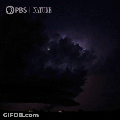 Purple Skies During Violent Thunderstorm GIF