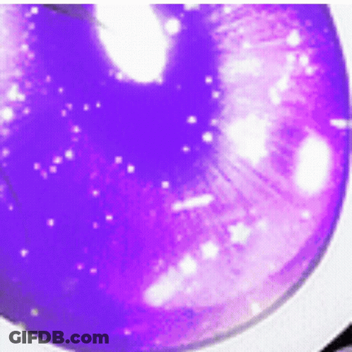 Purple Sphere With White Dots GIF