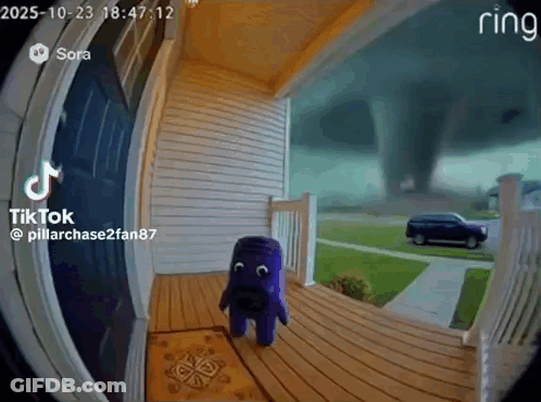 Purple Stuffed Animal Standing On Porch GIF