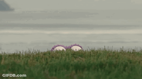 Purple Stuffed Animal With Big Eyes GIF