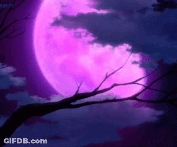 Purple Super Moon And Flying Bird GIF