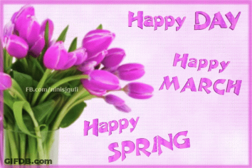Purple Tulips Bouquet Happy Day GIF