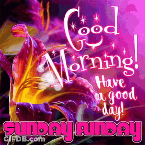 Purple Yellow Flower Good Morning Have Good Day Sunday GIF