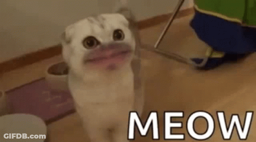 Purr Big Lips Meow Cat GIF