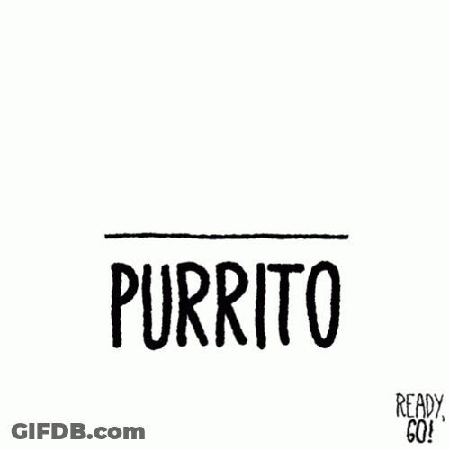 Purr Dancing Burrito GIF