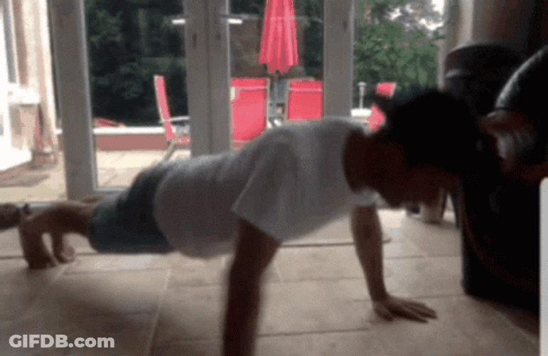 Push Up Exercise Vlog GIF