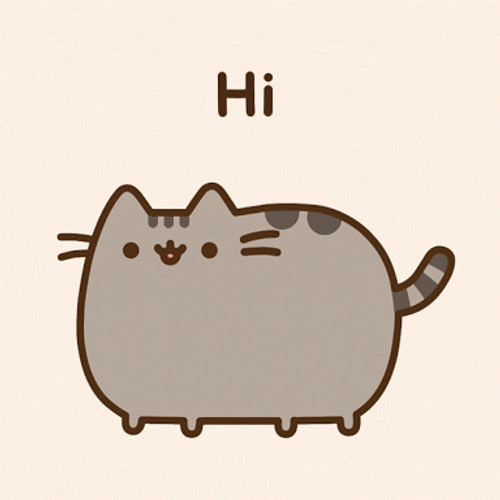 Pusheen Cat Hi GIF