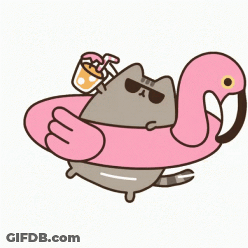 Pusheen Cat Pink Swan Floater GIF