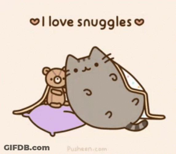 Pusheen Cat Snuggling With Bear GIF