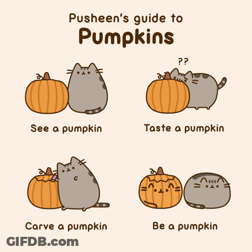 Pusheen Guide To Pumpkins See And Carve GIF