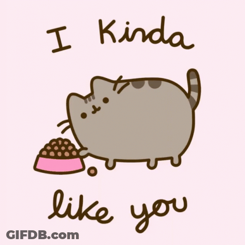 Pusheen I Like You GIF