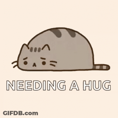 Pusheen Needs Hug GIF