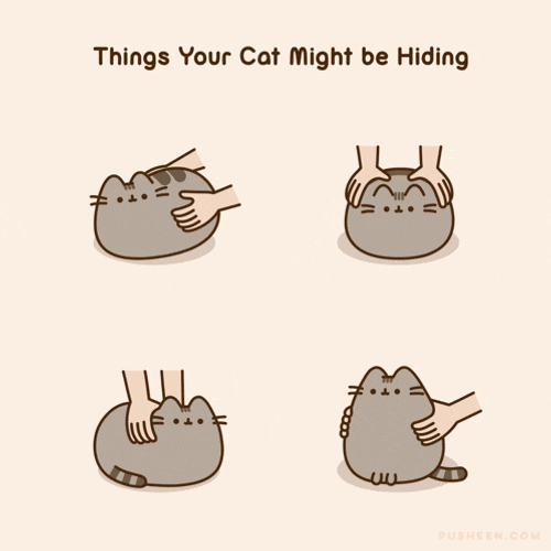 Pusheen Pusheen Cat GIF