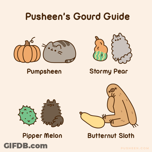 Pusheen 'S Gourd Guide Includes Pumpsheen Stormy Pear Pipper Melon Butternut Sloth GIF