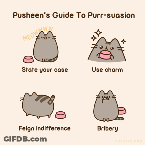 Pusheen's Guid To Purr GIF