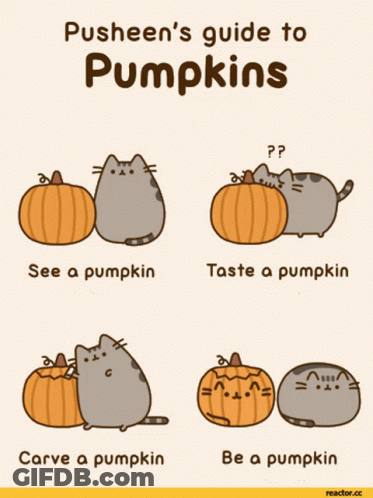 Pusheen's Guide To Pumpkins GIF