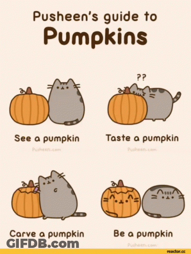 Pusheen's Guide To Pumpkins See Taste Carve GIF