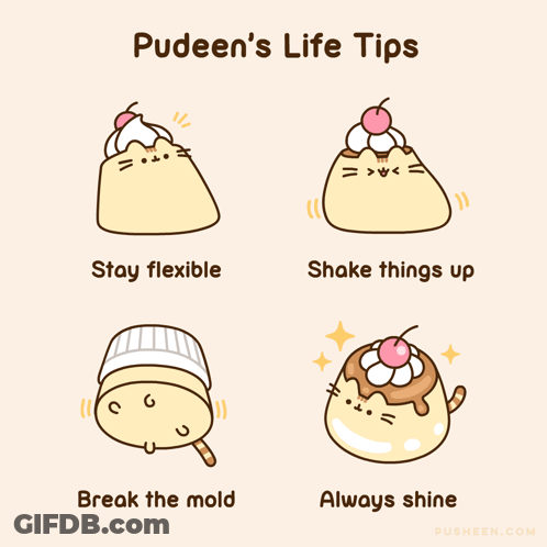 Pusheen's Life Tips Stay Flexible Shake Things Up Break Mold GIF