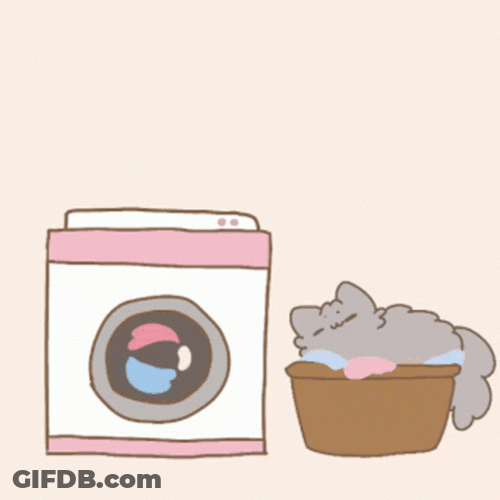 Pusheen Stormy Doing Laundry GIF