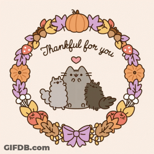 Pusheen Thankful For You GIF