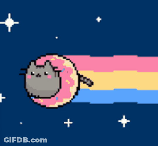 Pusheen With Donut Nyan Cat GIF