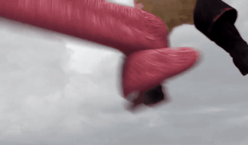 Puss In Boots Adventures Dragon GIF