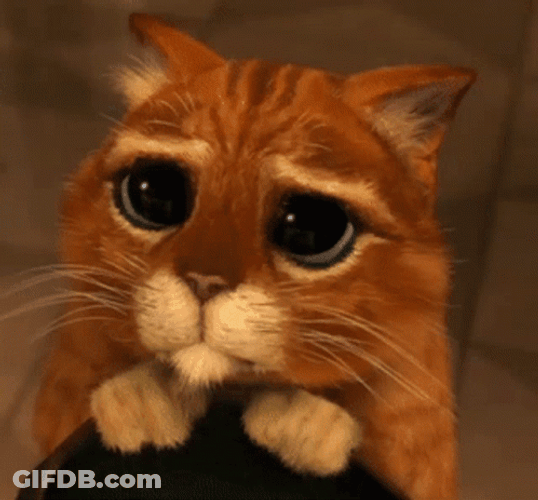 Puss In Boots Angry Punch GIF