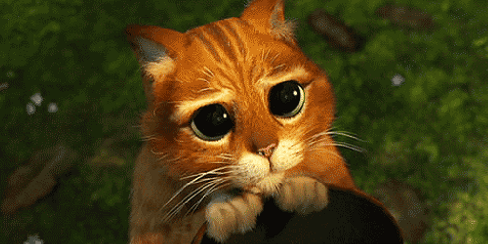 Puss In Boots Awww GIF