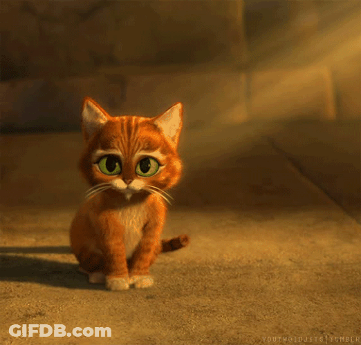 Puss In Boots Baby Meow GIF
