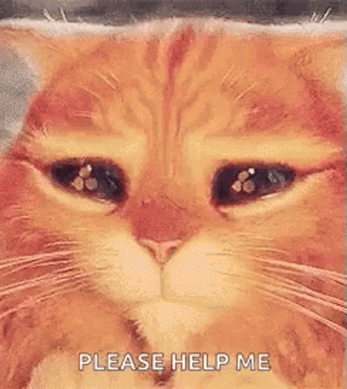 Puss In Boots Cat Help Me GIF