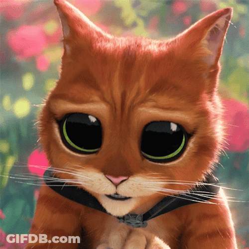 Puss In Boots Cute Face GIF