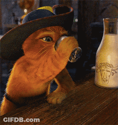 Puss In Boots Drinking Beer GIF