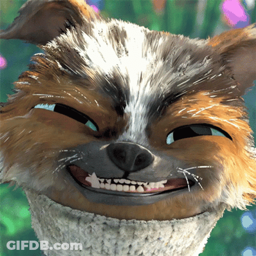 Puss In Boots Eye Bulge Perro GIF