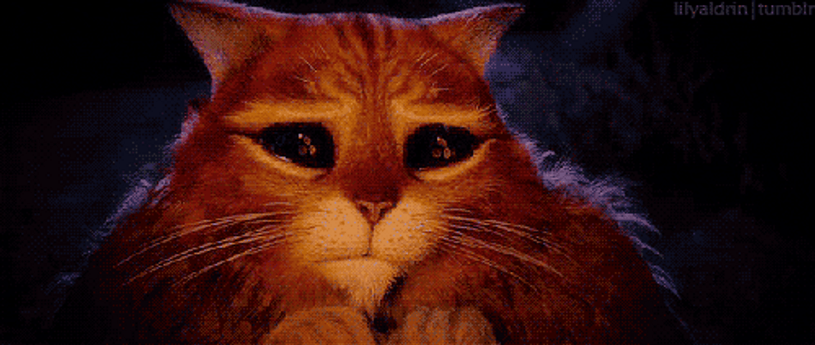 Puss In Boots Eyes Tearing Up GIF