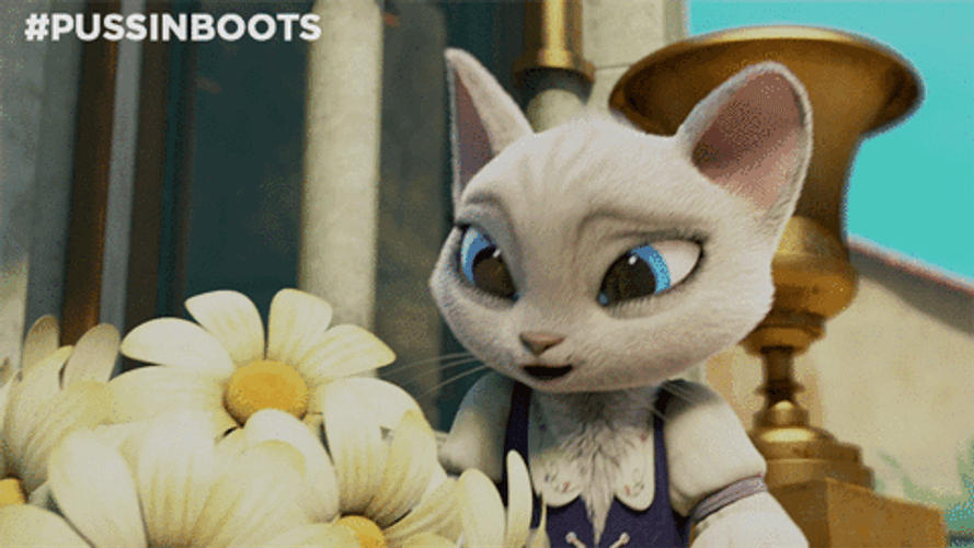 Puss In Boots Giving Flowers To Dulcinea GIF
