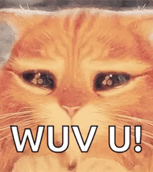 Puss In Boots Love You GIF