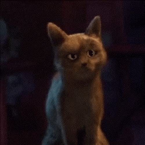 Puss In Boots Oops Cat GIF