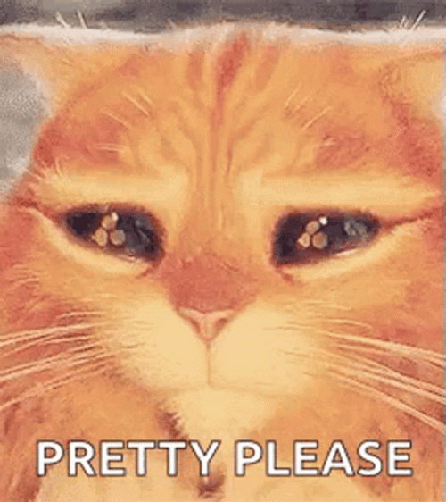Puss In Boots Pretty Please Eyes GIF