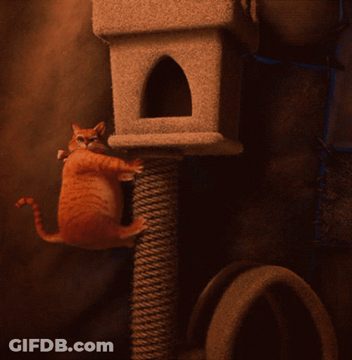 Puss In Boots Sliding Down GIF