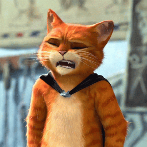 Puss In Boots Uhh No GIF