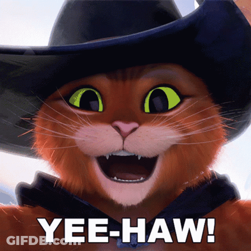Puss In Boots Yee Haw GIF