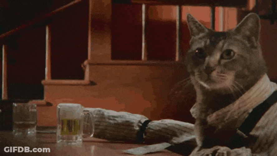 Puss N Boots Drinking Milk In Bar GIF