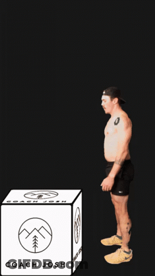 Put Me In Coach Jumping Man GIF