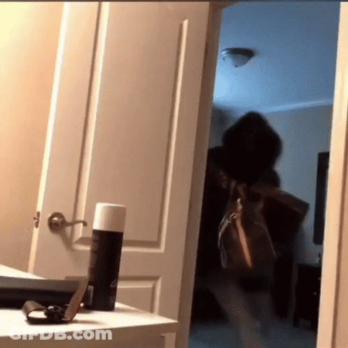Putting Everything On The Bag Quickly Getting Ready GIF