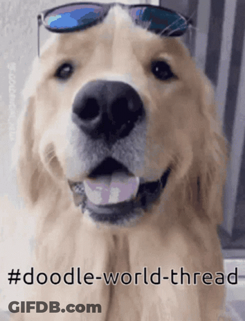 Putting On Glasses Doodle Dog Sunglasses GIF