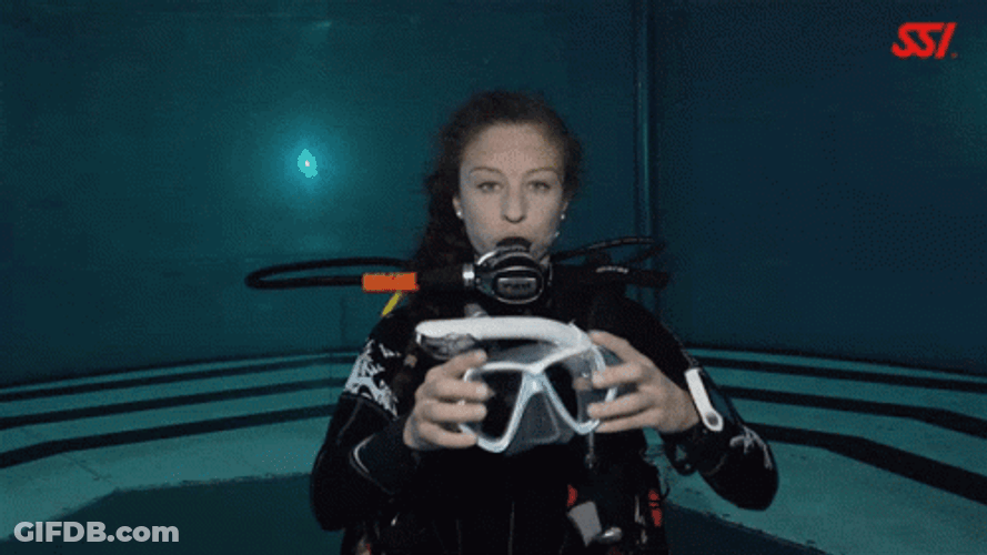 Putting Snorkling Glasses Diving GIF